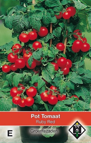 Tomaat Ruby Red (Solanum) 100 zaden